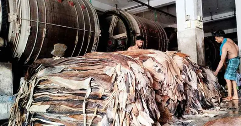 সাভারের বিসিক চামড়া শিল্প নগরীতে ব্যস্ত শ্রমিকরা, অসন্তুষ্ট কর্তৃপক্ষ